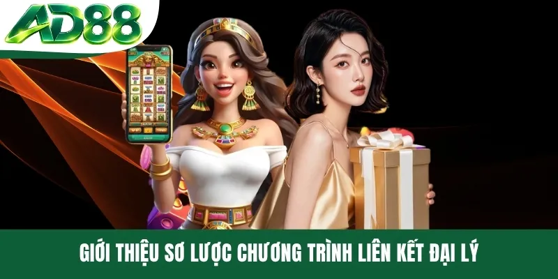 Giới thiệu sơ lược chương trình liên kết đại lý