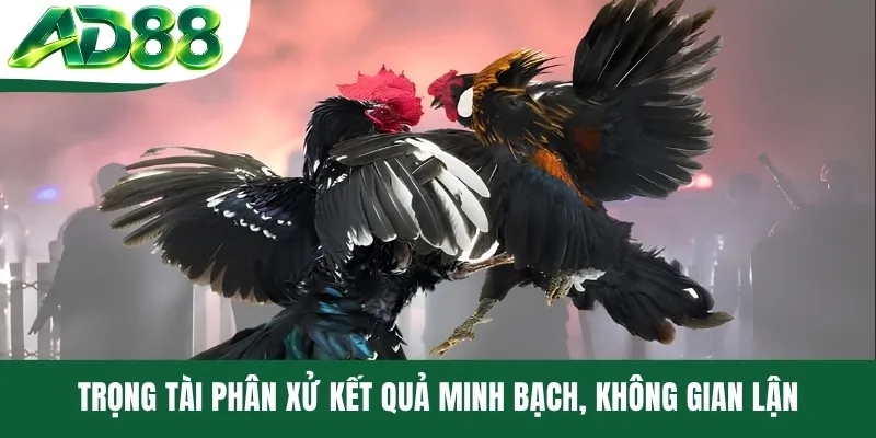 Trọng tài phân xử kết quả minh bạch, không gian lận